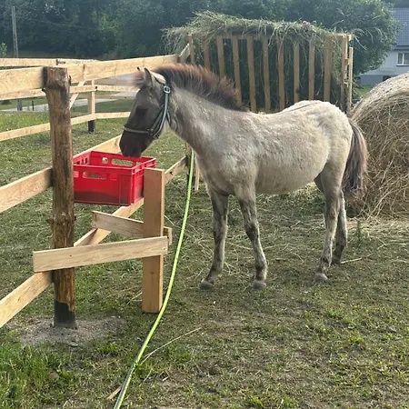 Ferienhaus Kociewska Z Gliny Smetowo Graniczne