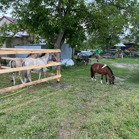 Ferienhaus Kociewska Z Gliny *