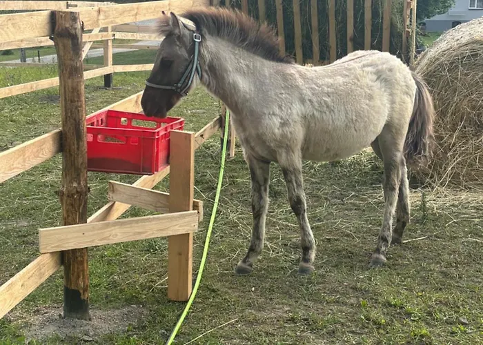 Casa vacanze Kociewska Z Gliny Smetowo Graniczne