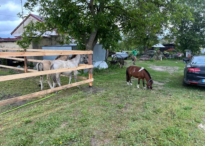 Casa vacanze Kociewska Z Gliny *